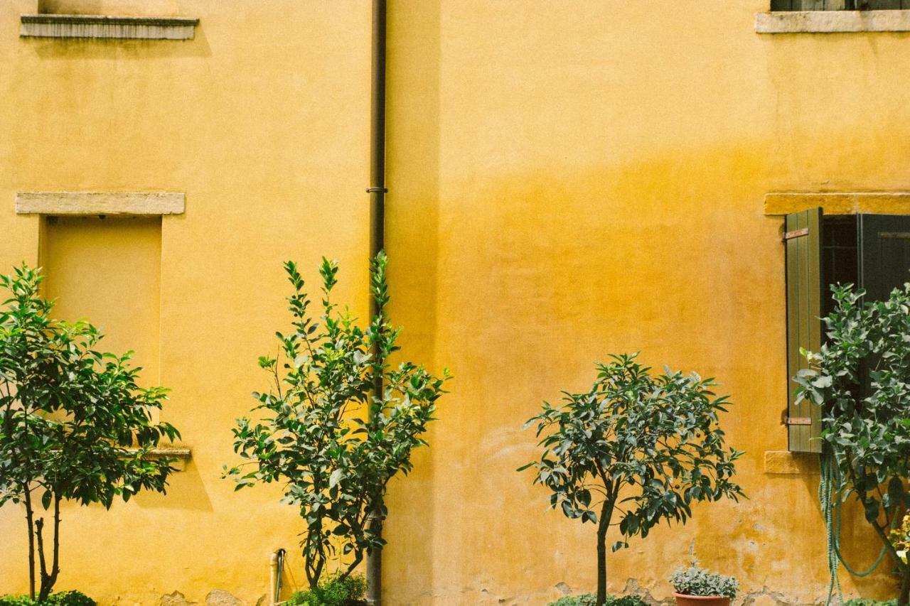 Villa Fava Montagnana  Exterior photo
